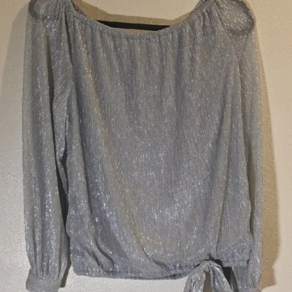 Shimmery Silver Top - Picture 1 of 6